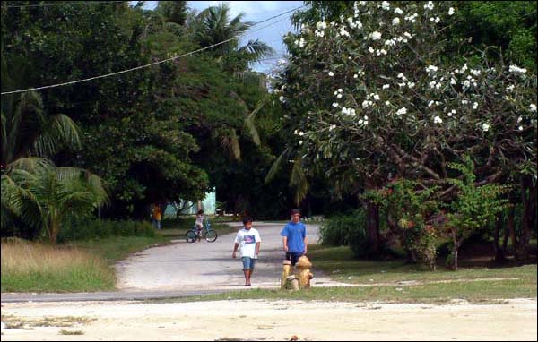 Street scene