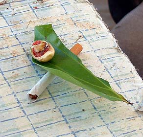 Betel nut