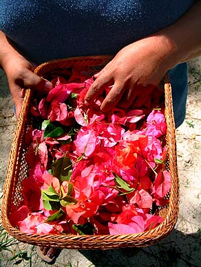 Flower basket