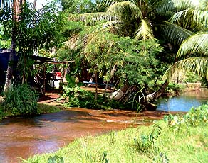 Ranch and Stream