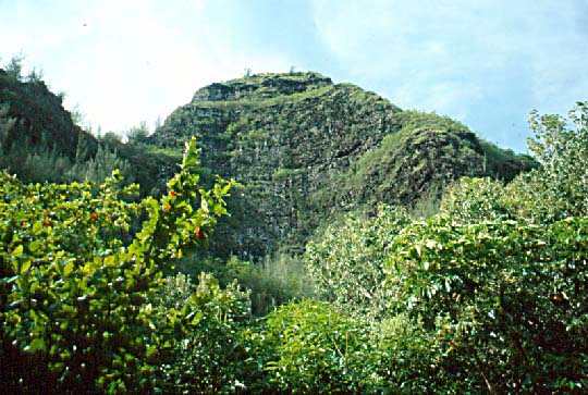 Makana's chimney shape