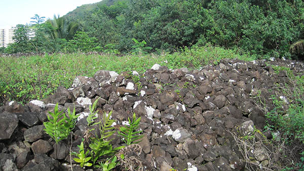 Kawa`ewa`e Heiau