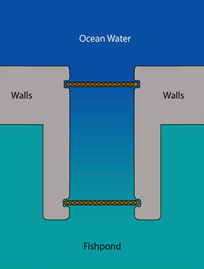 Makaha Diagram