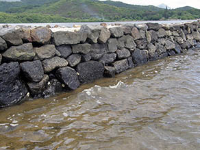 Heiau coastline