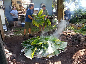 Adding tī leaves