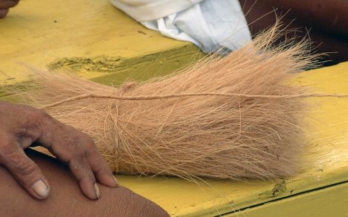 Coconut fibers clean a