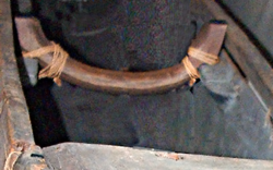 Lashing-ears Lashing-ears