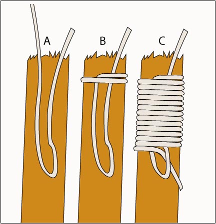 Whipping rope