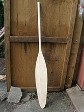 Paddle 3