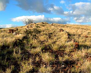 Mountain trail