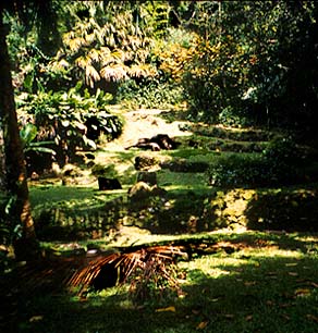 Luakaha terraces