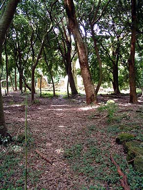 Kaniakapupu from Heiau