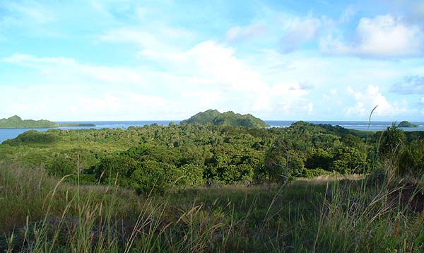 Hillside View