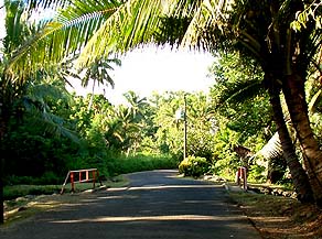 Bridge at stream