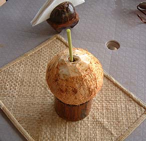 Coconut