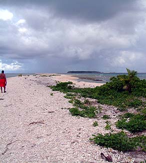 On the sandbar