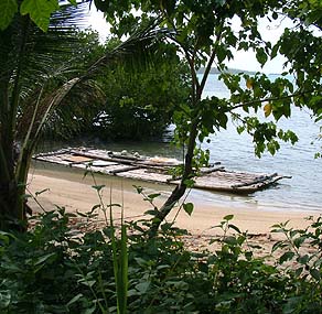 Bamboo Raft